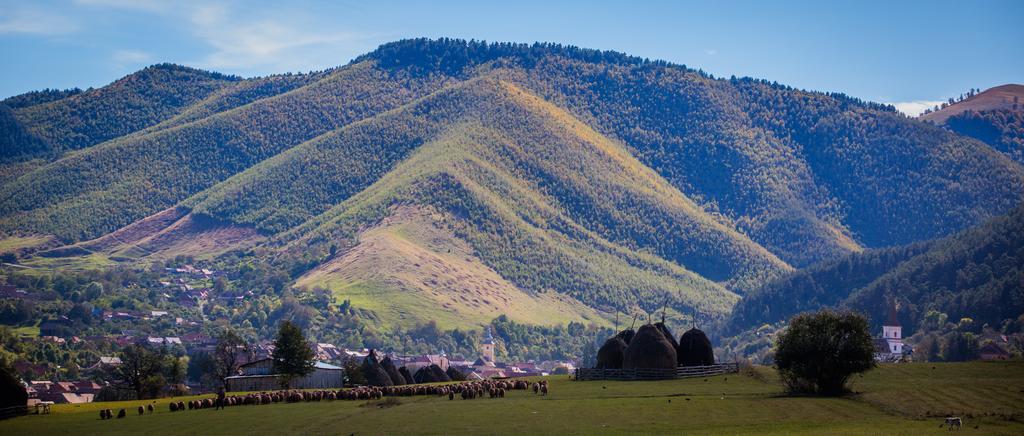 Picturesque Village In Transylvania เรอชินาริ ห้อง รูปภาพ