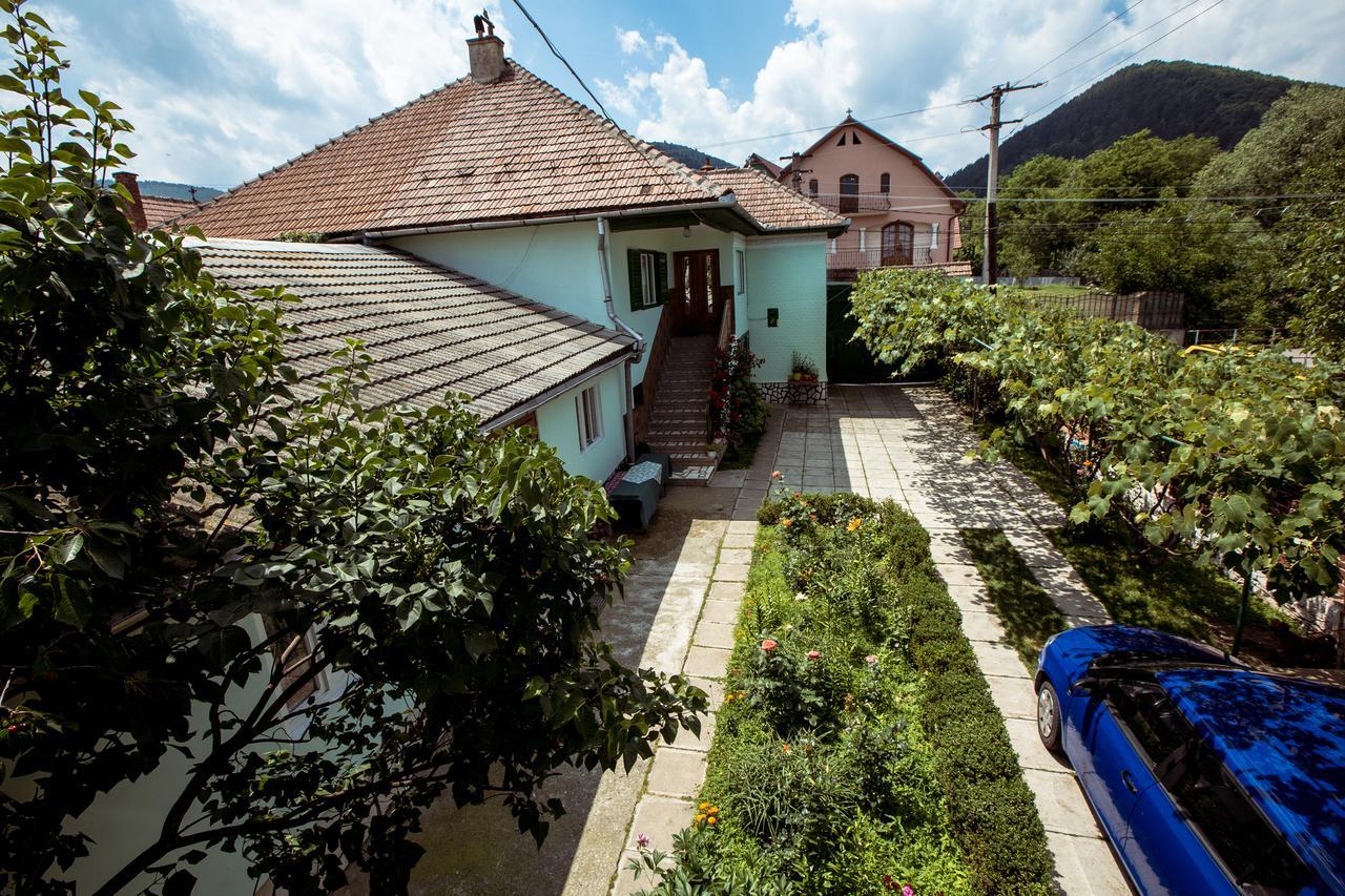 Picturesque Village In Transylvania เรอชินาริ ภายนอก รูปภาพ